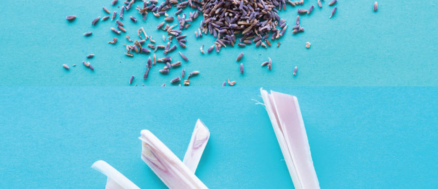 Fillaree-Web-Banners-Ingredients.jpg