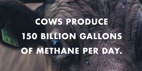 Via http://www.cowspiracy.com/facts/
