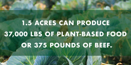 Via http://www.cowspiracy.com/facts/