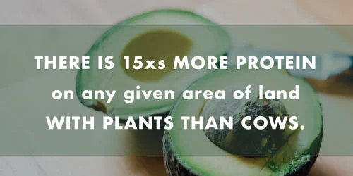 Via http://www.cowspiracy.com/facts/