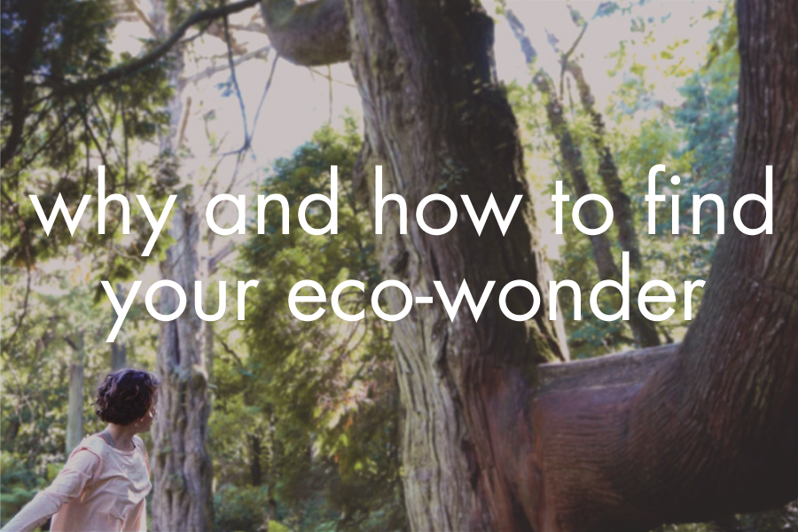 find-eco-wonder.png