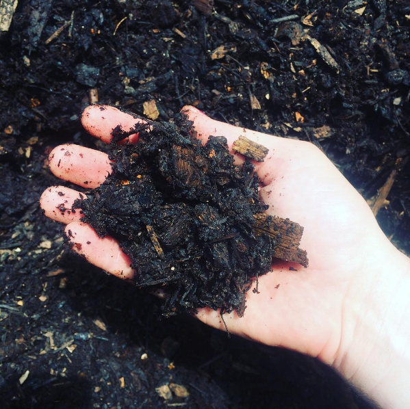 Tilthy Compost.png