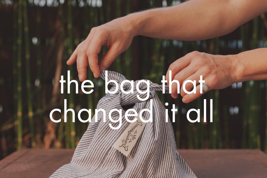 bag-that-changed-it.png