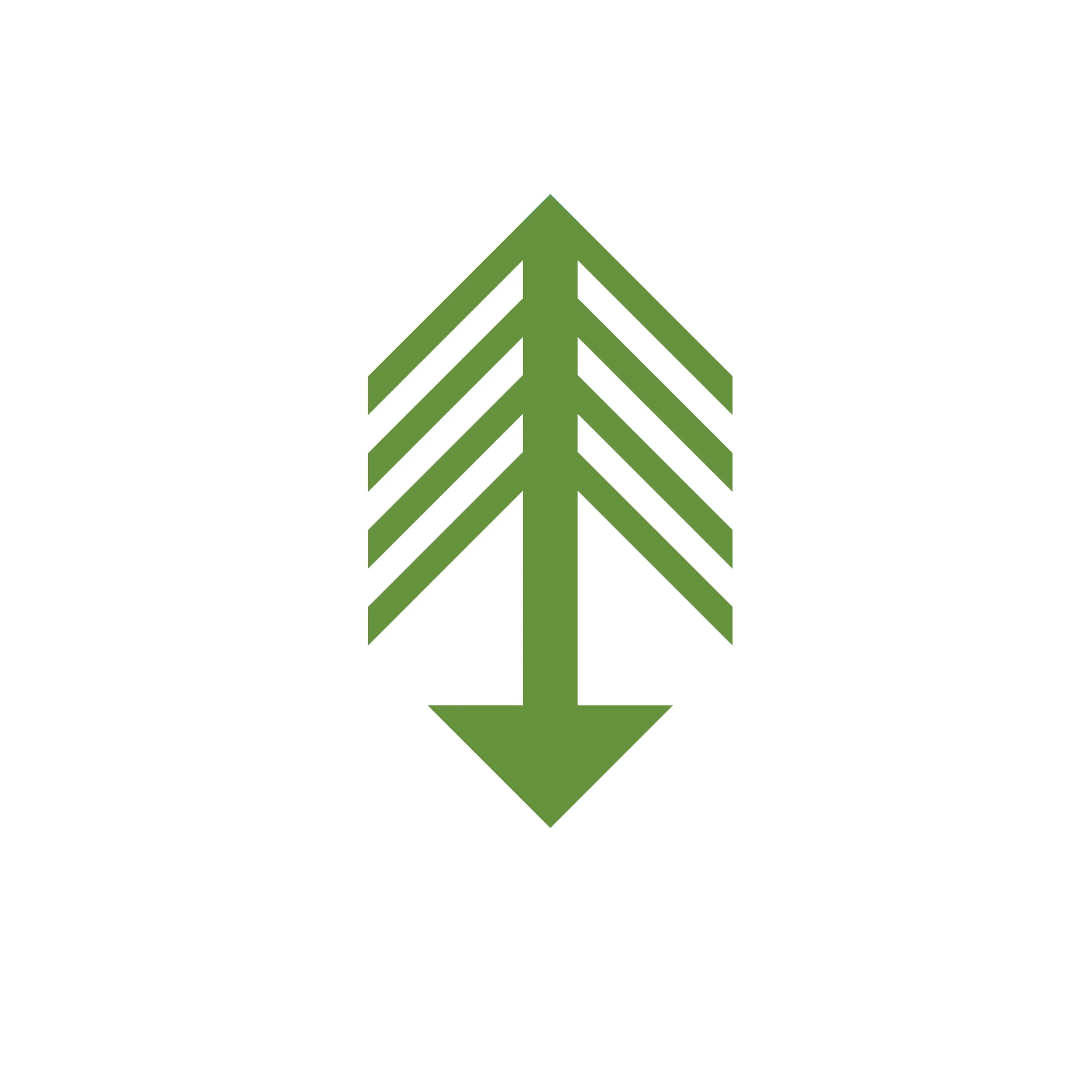 Tree_logo.jpg