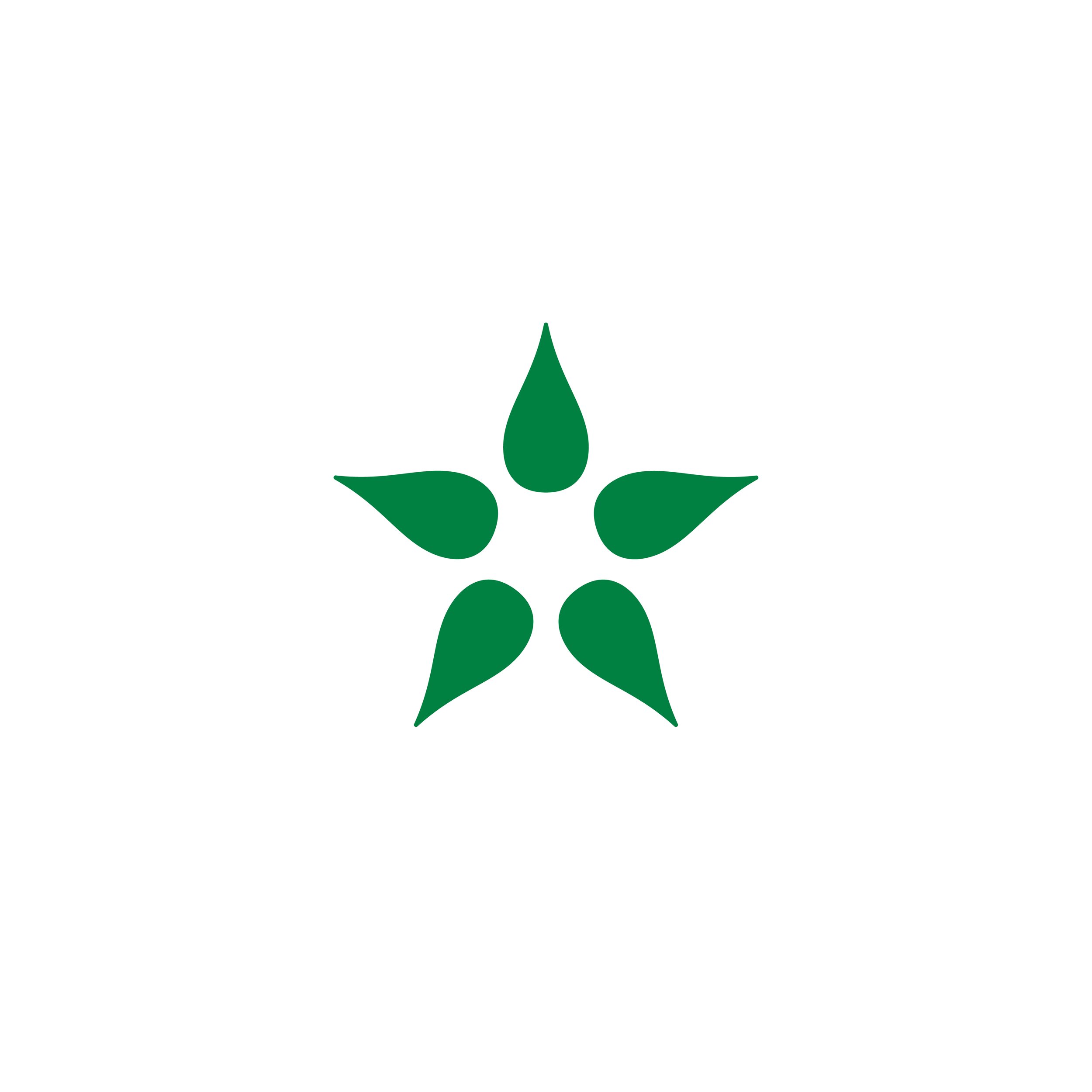 Star_logo-01.jpg