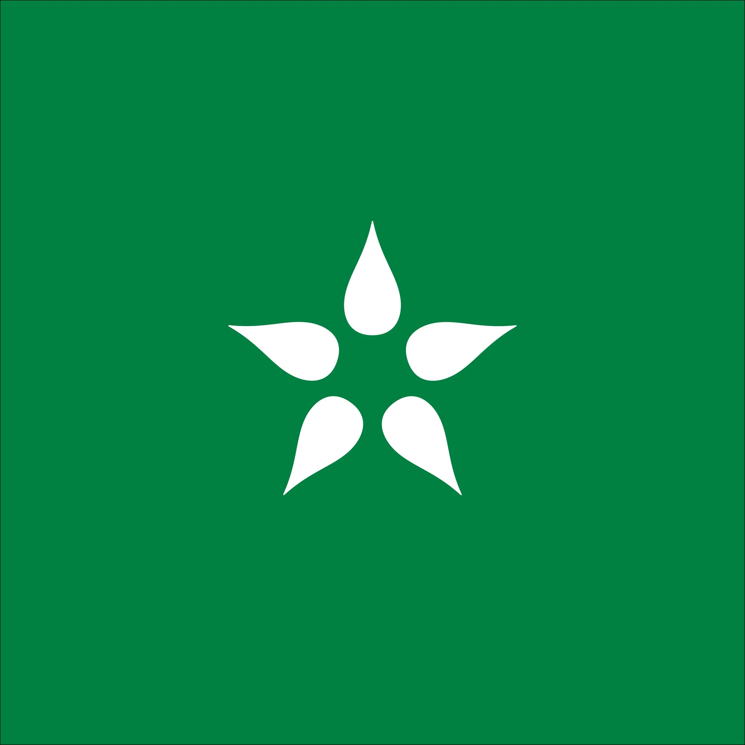Star_logo-02.jpg