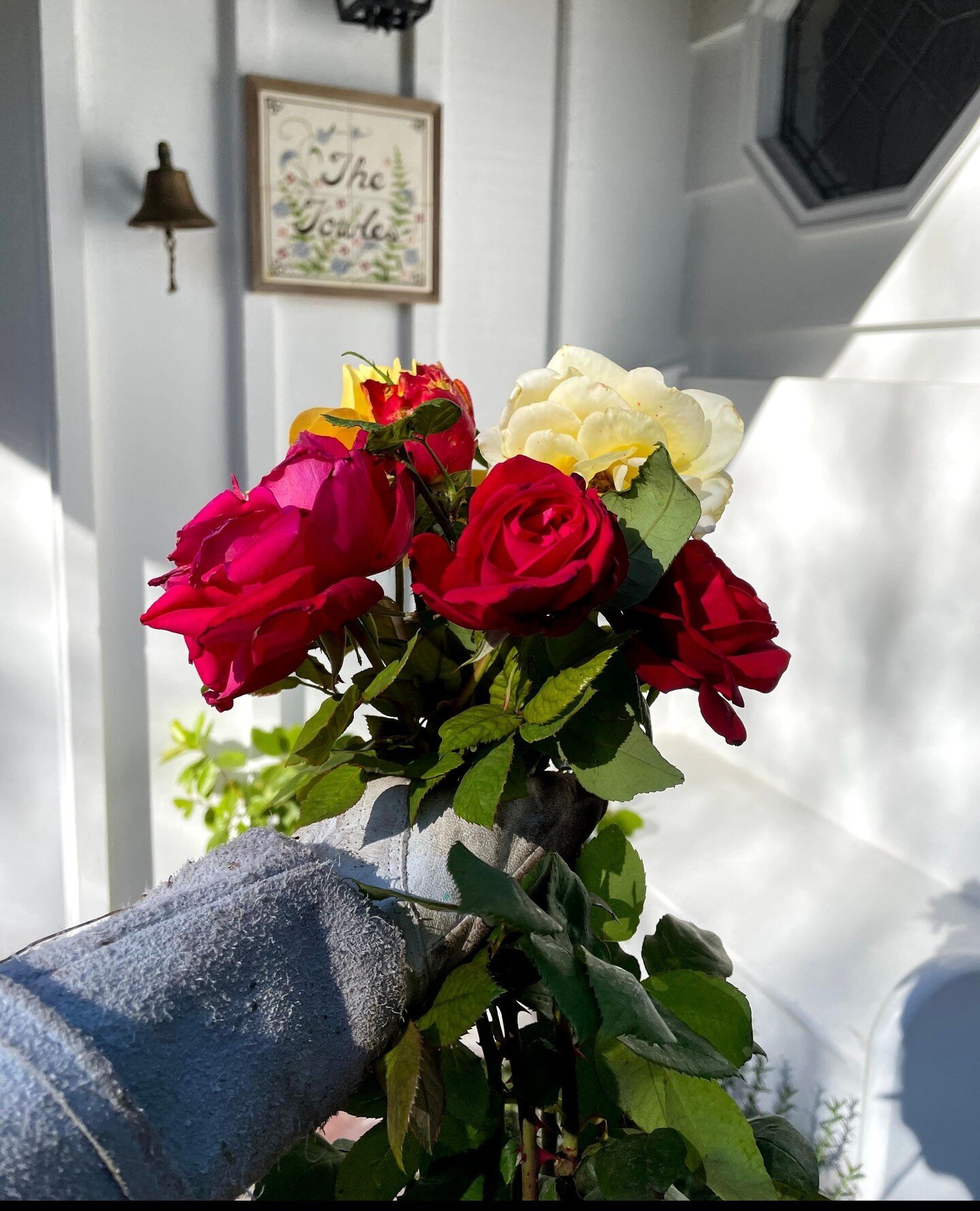 Picked just for you! 💝 Wishing you a beautiful and colorful Valentine's Day 🌹 ❤️ #lisasgardentherapy⁠
⁠
⁠
#rosesforvalentinesday⁠
#roses #southerncaliforniagardening #gardeningtips #gardeningworkshop #summerroses #summergarden #climbingrose #fencer