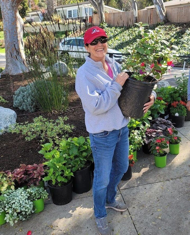 The rain ☔️ is back, but last week we worked on transforming a drought-tolerant shade garden with the team 💪 More photos to come!⁠
⁠
Stay dry!⁠
⁠
🪴 Lisa's Garden Therapy⁠
⁠
#lisasgardentherapy #shadegarden⁠
#oursouthbay #coastalliving #moderngarden