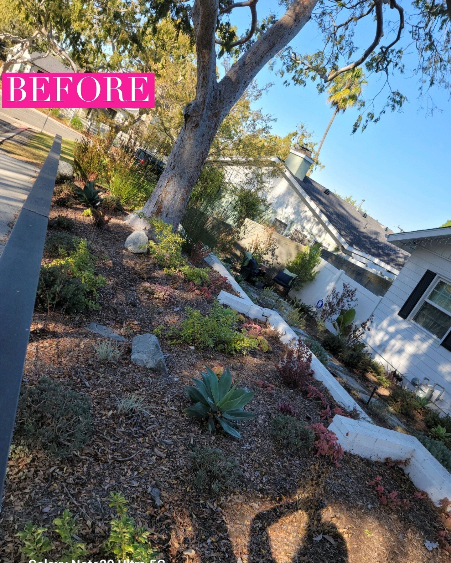 It's not often that we rip out a drought-tolerant space and replant it with turf, but this stretch of garden was too shady for the previous plants to thrive. And the touch of green is so pretty against the white of the house!⁠
⁠
Take a look at the re