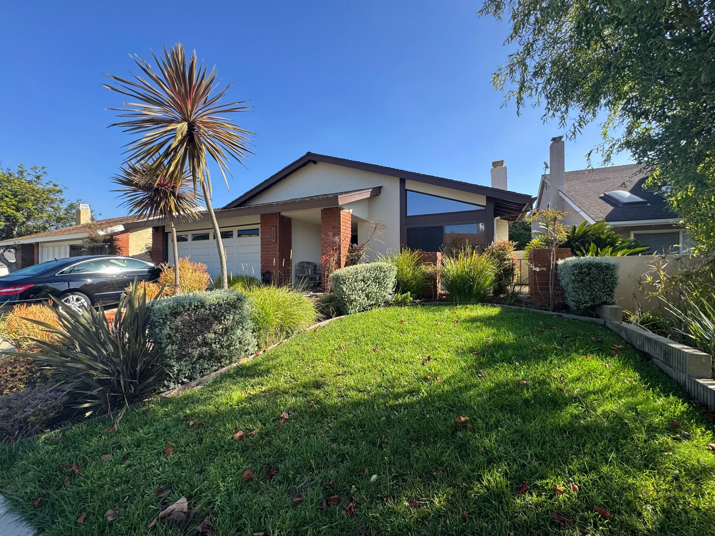 Untitled design-16.jpg