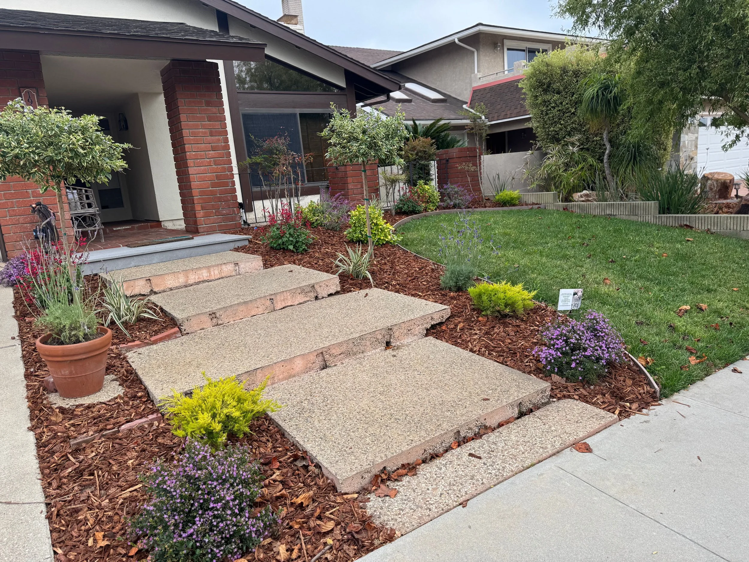 Untitled design-17.jpg