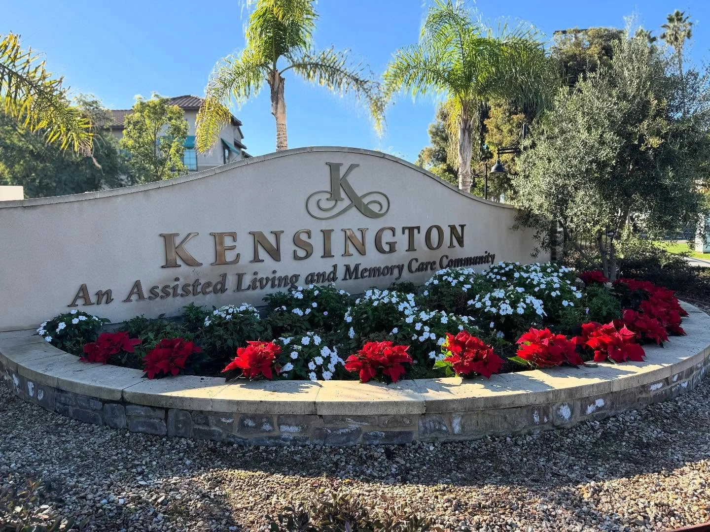 The Kensington all decked out for the Holidays🎄🎅🏼

🌿Lisa&rsquo;s Garden Therapy

#lisasgardentherapy #southbaylandscaping #redondobeachlandscaping
#oursouthbay #coastalliving #moderngardendesign #CMyCalifornia #landscapedesign #gardendesign #cali