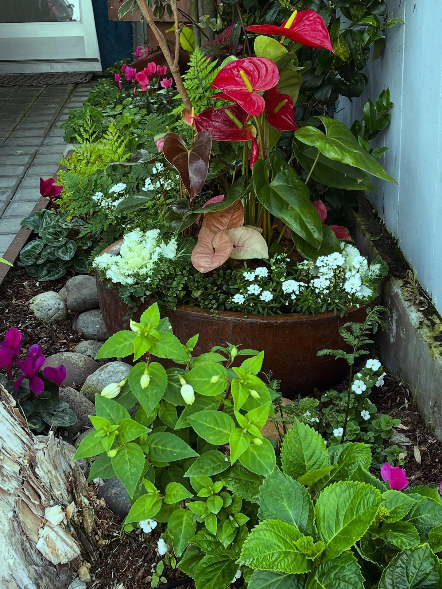 Planting happiness, one bloom at a time 
🌸🌿 

🪴Lisa&rsquo;s Garden Therapy

#lisasgardentherapy #southbaylandscaping #redondobeachlandscaping
#oursouthbay #coastalliving #moderngardendesign #CMyCalifornia #landscapedesign #gardendesign #california