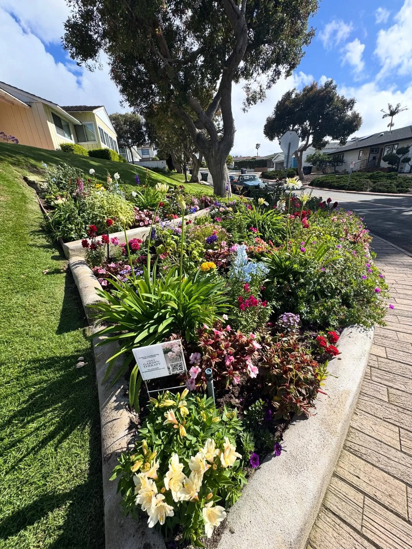 Spring Refresh🌼🌼

🌿Lisa&rsquo;s Garden Therapy
#lisasgardentherapy #southbaylandscaping #redondobeachlandscaping
#oursouthbay #coastalliving