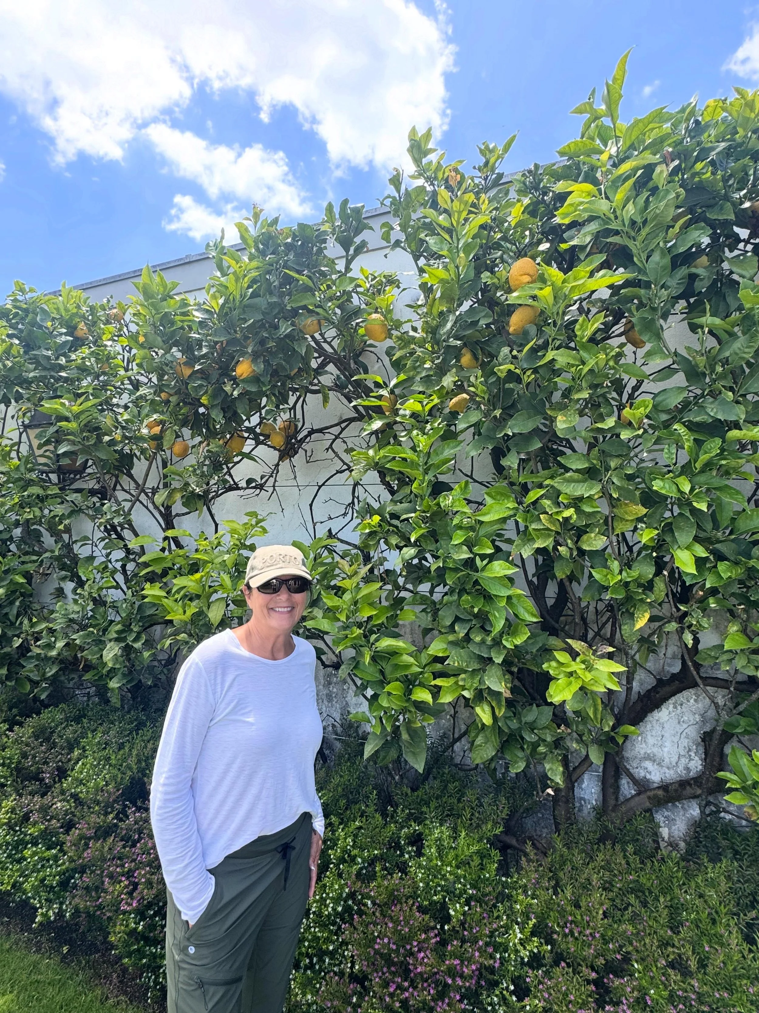 I was inspired by the gardens tucked away in the nook&rsquo;s &amp; crannies of Portugal. In both Lisbon &amp; Porto, no matter what the size of the space, the Portuguese were able to design these incredible gardens to make you feel as though you wer
