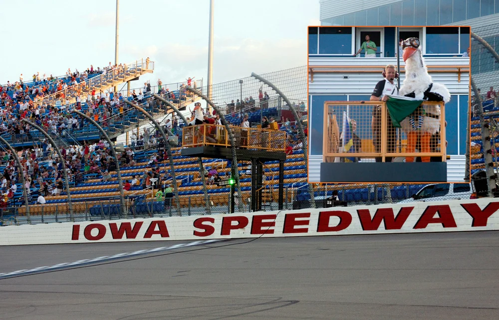   Avoid the Stork at the Races / Event Marketing 