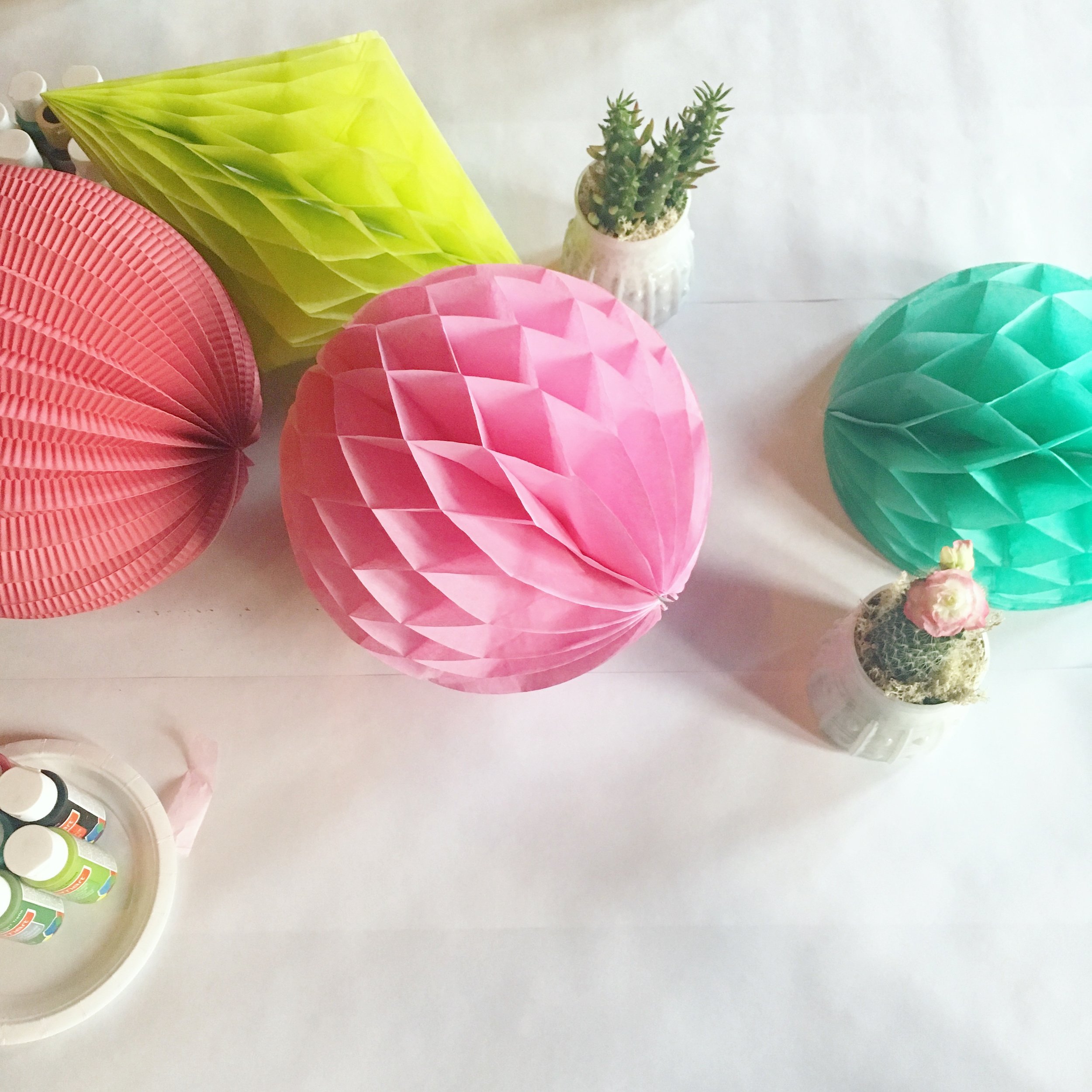 cute party decor and live cacti from Fabloomosity lined the work table.