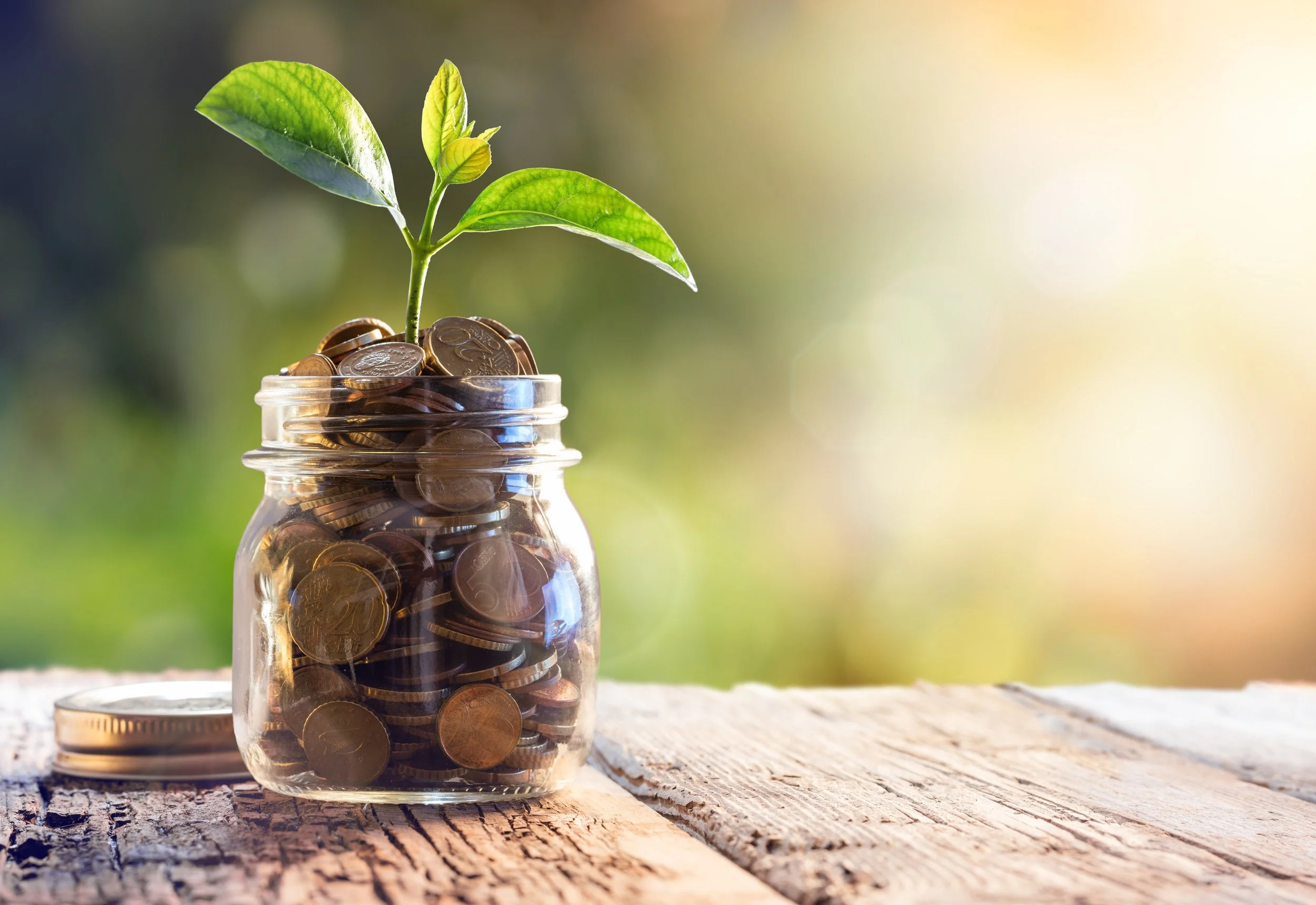 Thinking of buying a home in Nova Scotia ? : First step - determine your budget.