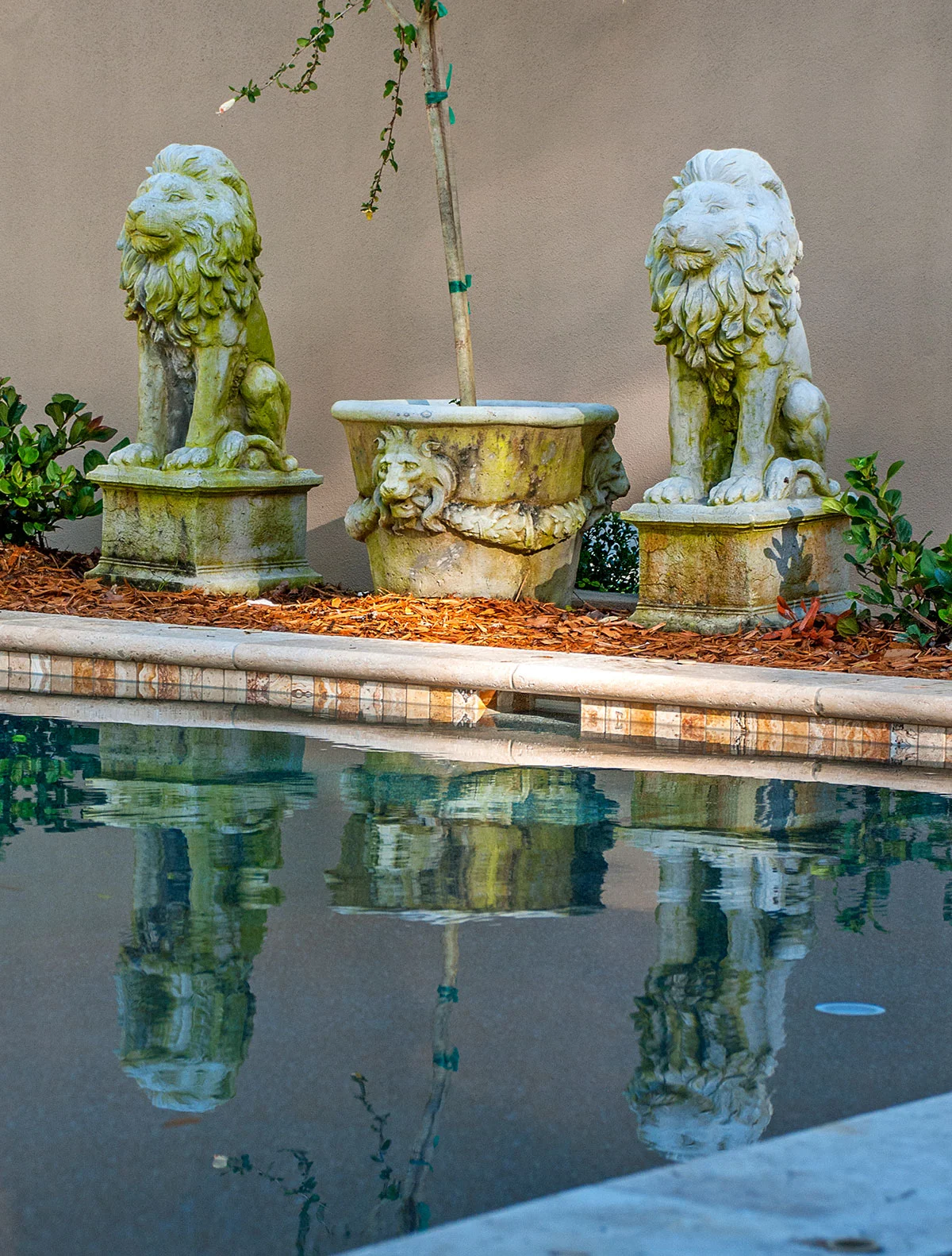 DSC_0084.jpg