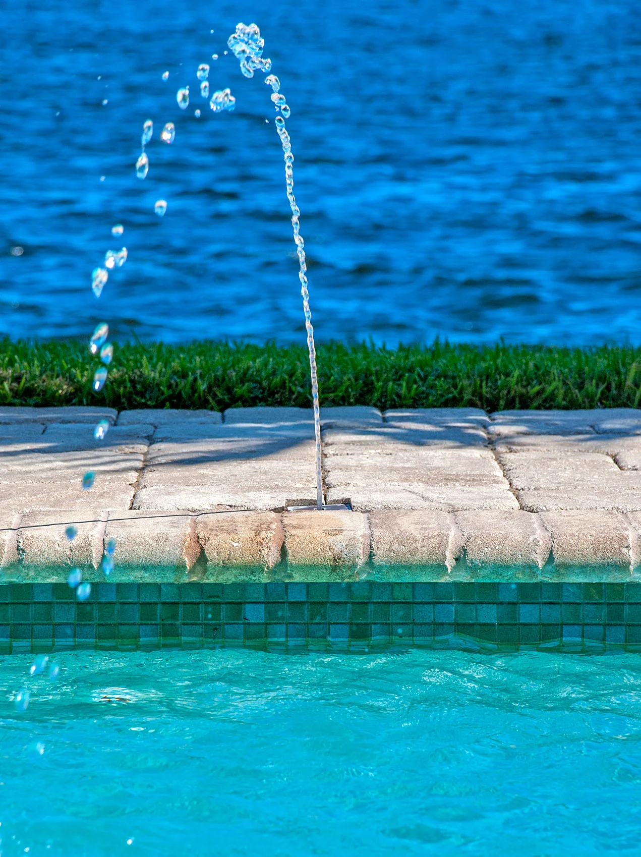DSC_0481.jpg
