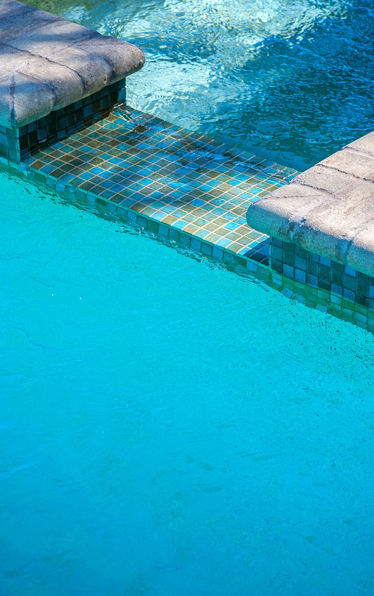 DSC_0485.jpg