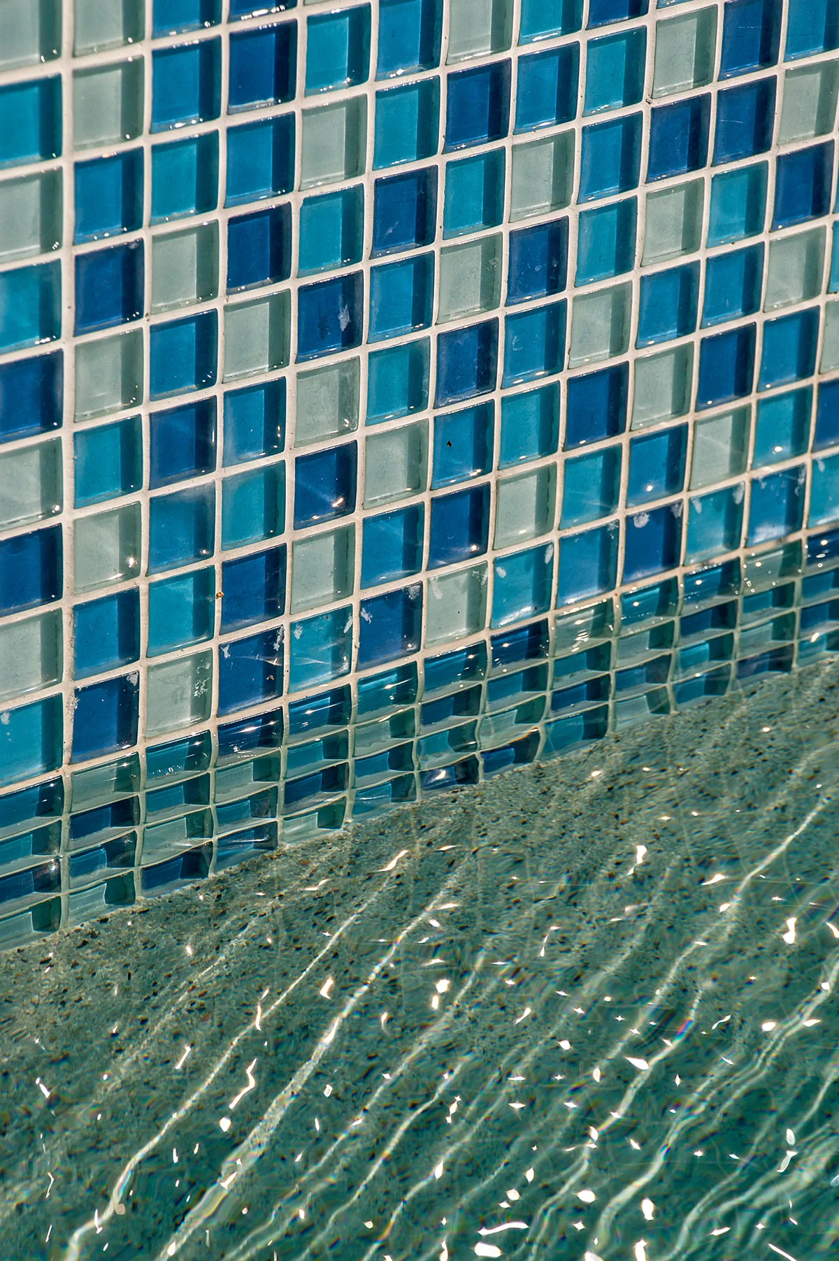 DSC_1117.jpg