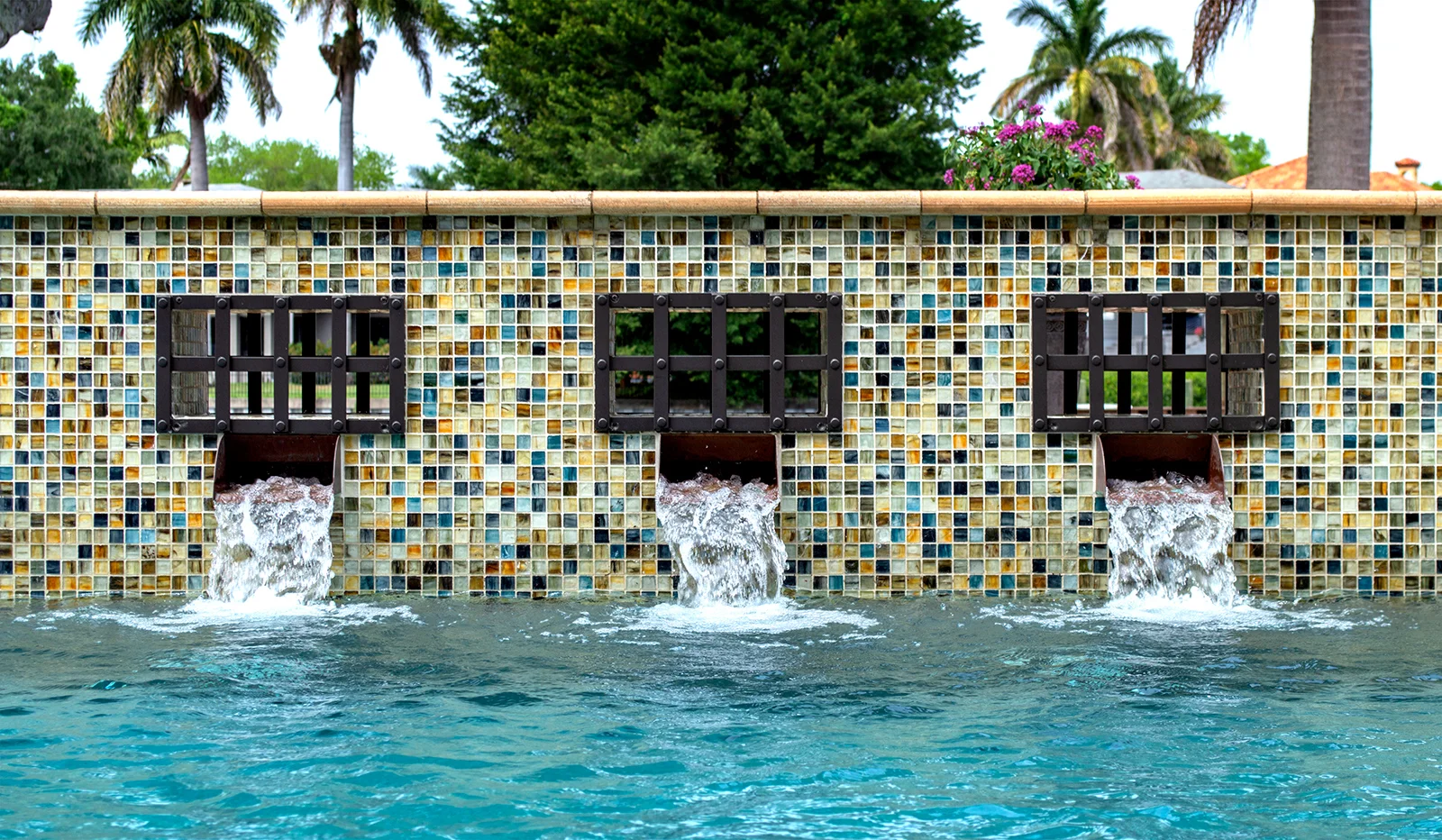 DSC_0107.jpg