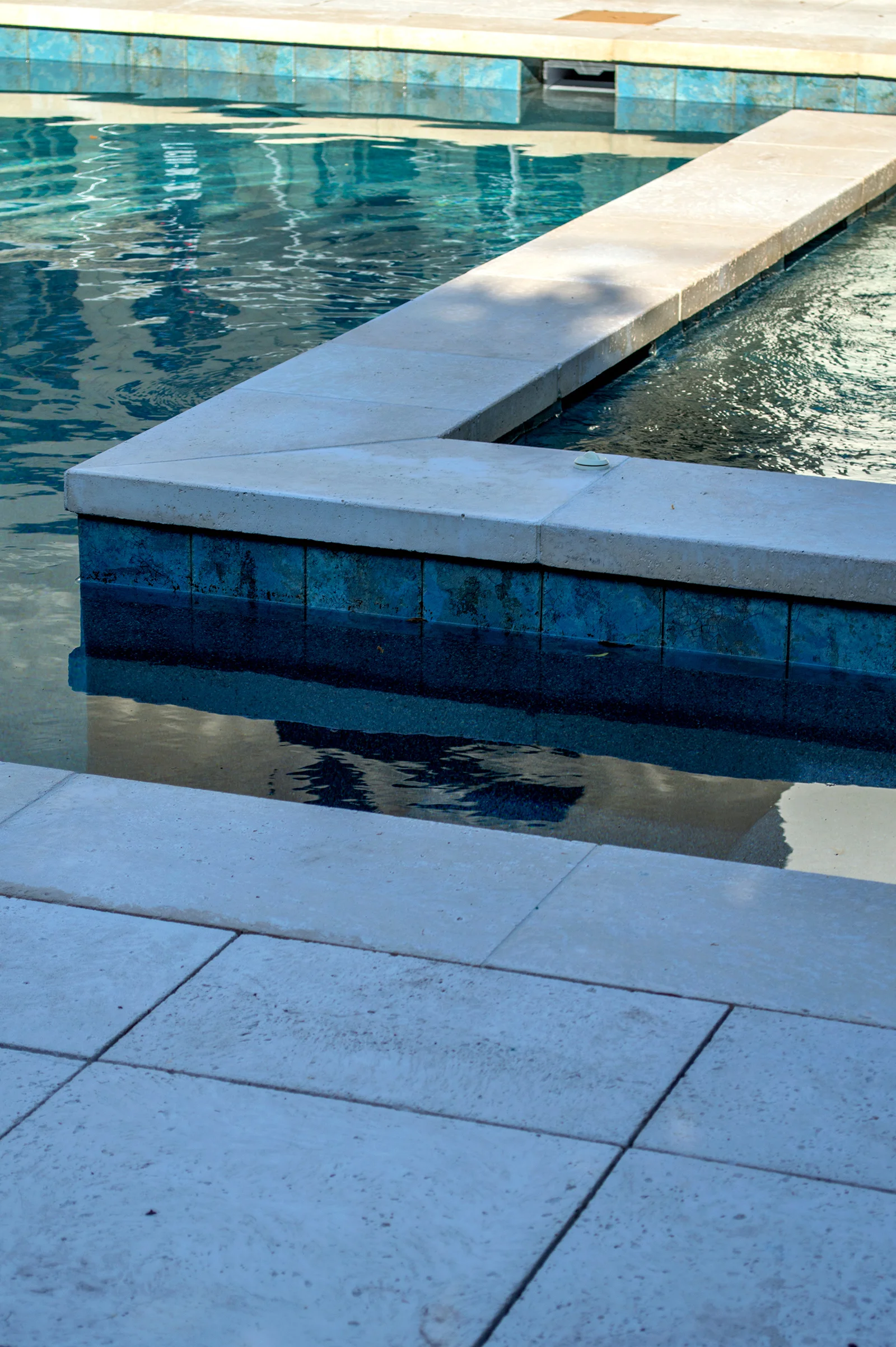 DSC_0310.jpg