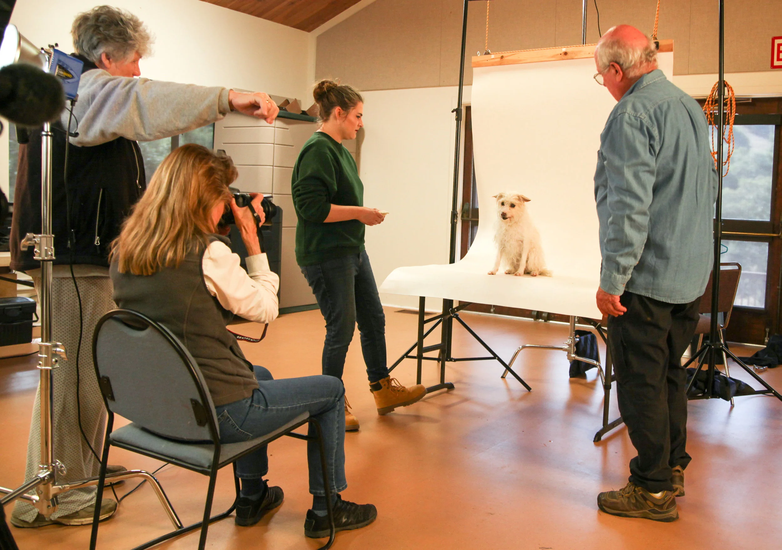 Our Vision — Shelter Art Foundation