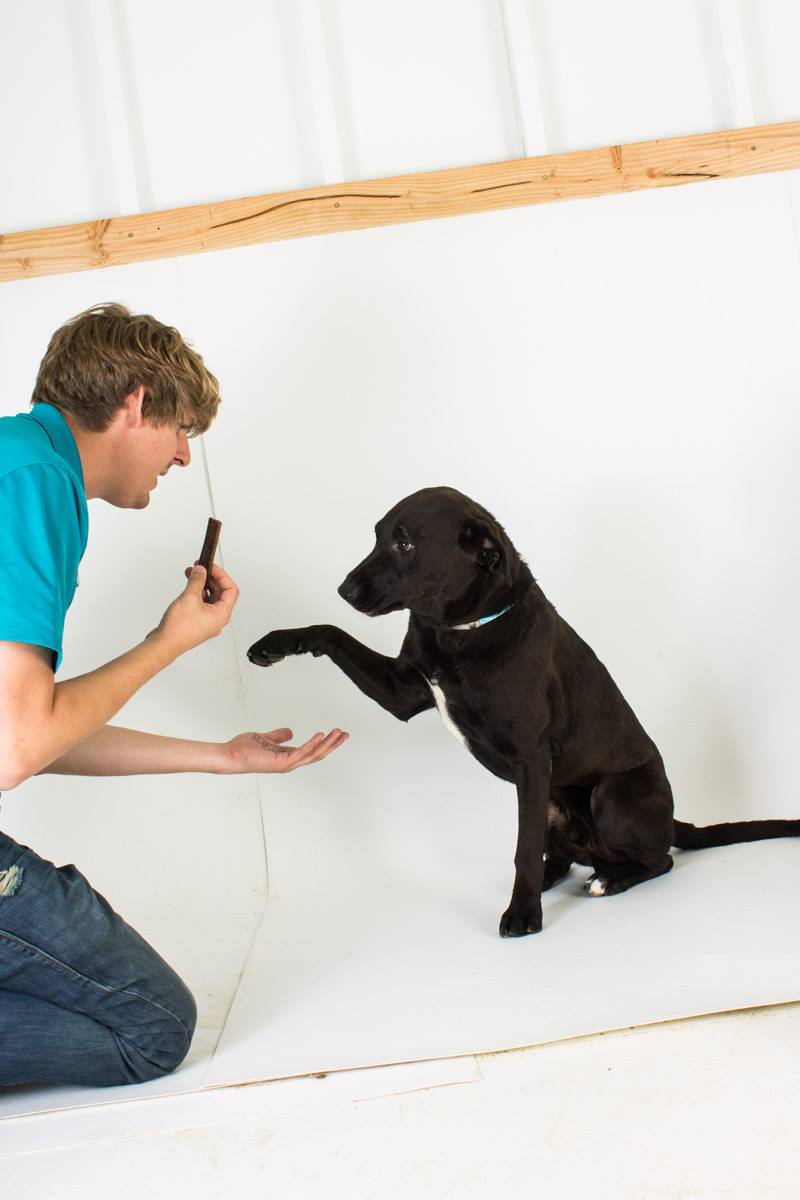 Impact — Shelter Art Foundation