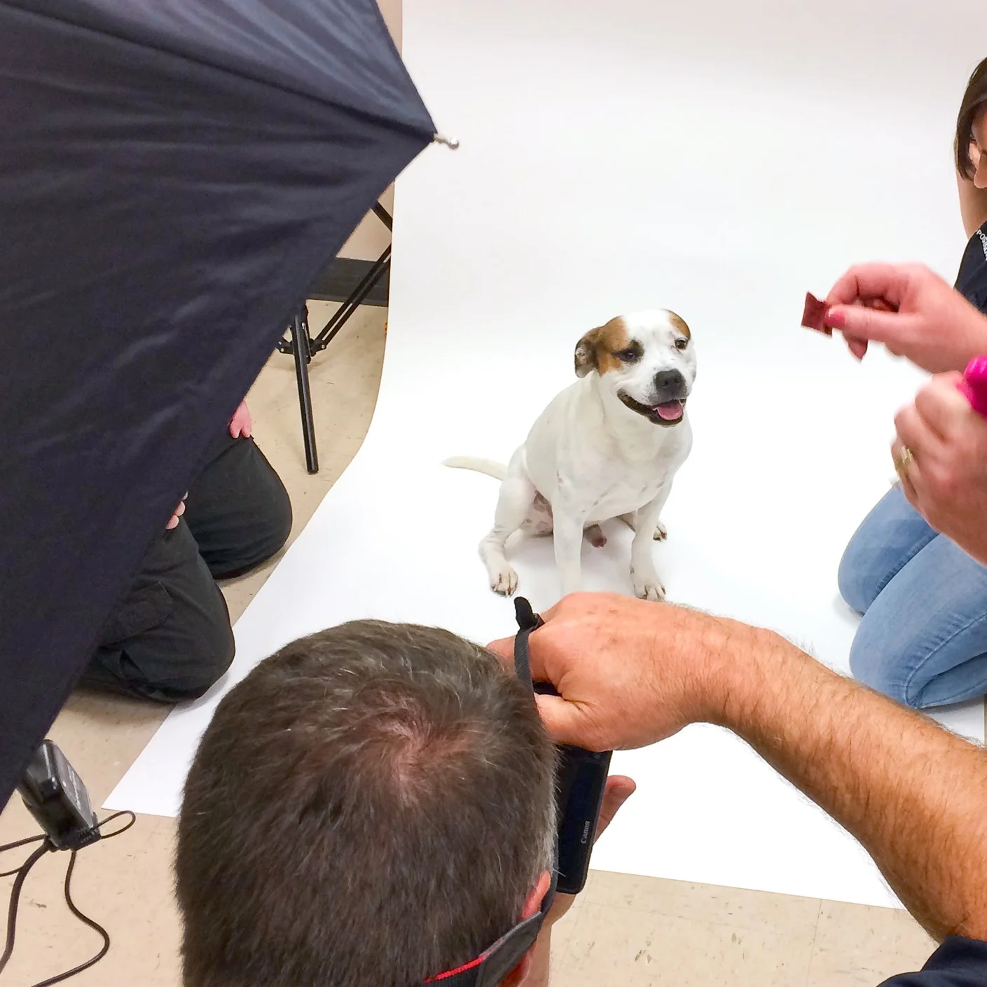 Shelter Art Foundation