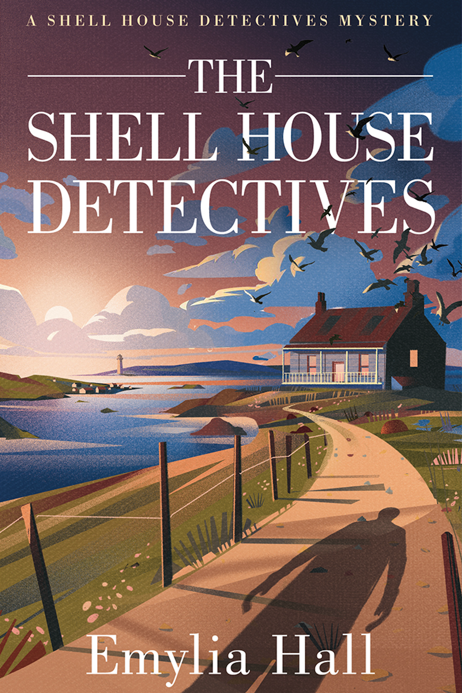 Amazon pub_ The shellhouse detectives.png