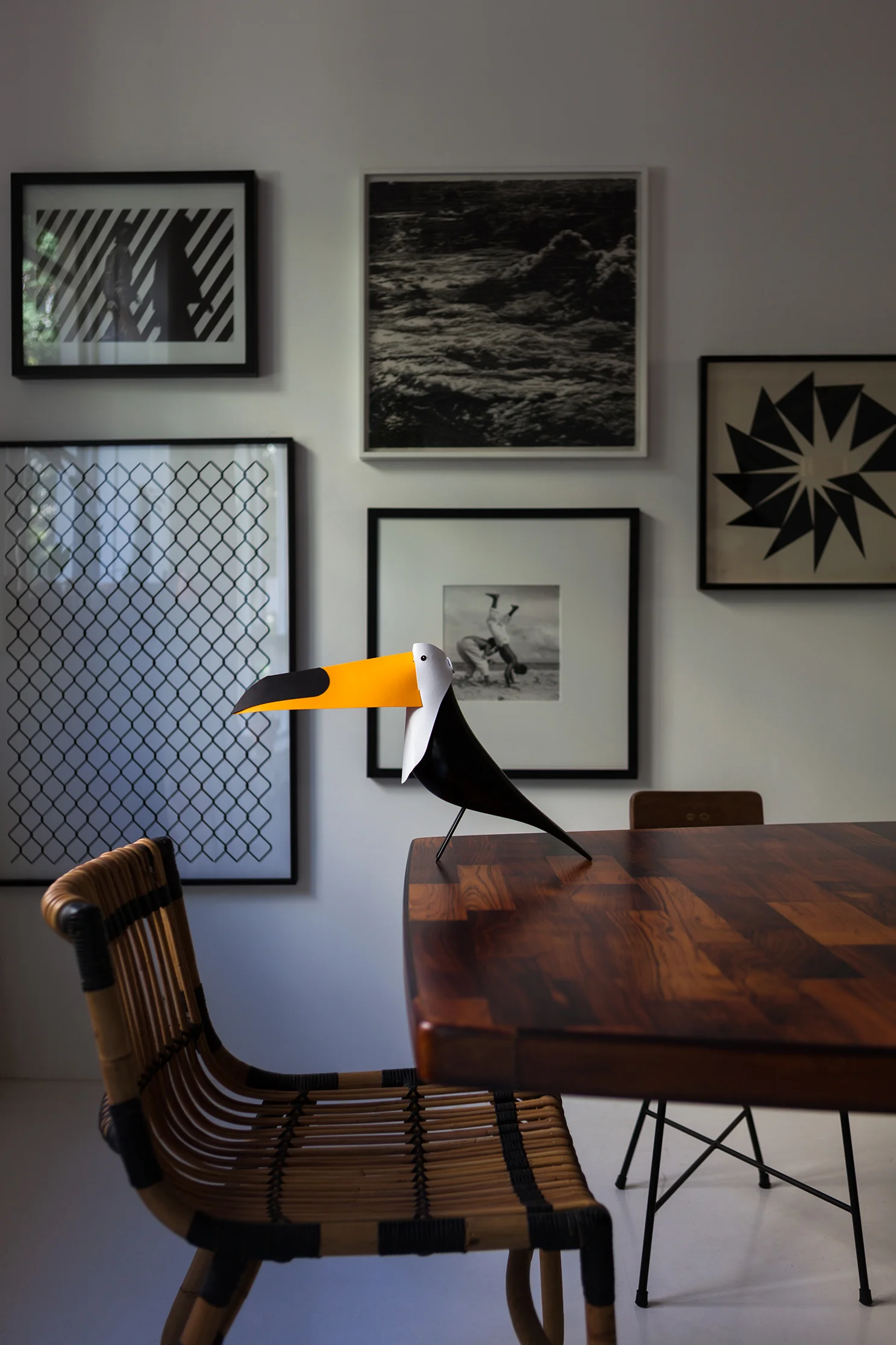 Tucano - Mauricio Arruda-2.jpg