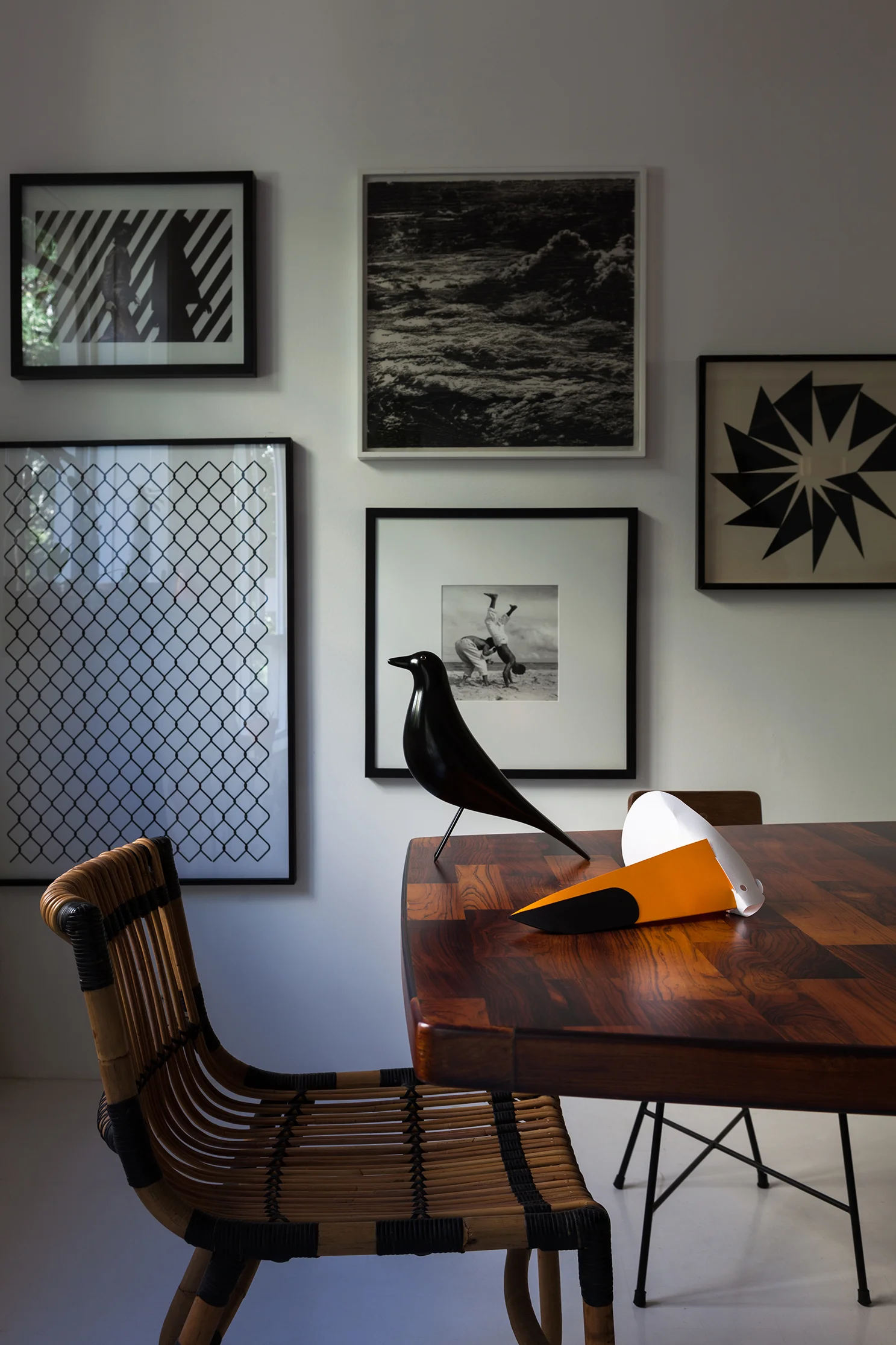 Tucano - Mauricio Arruda-3.jpg