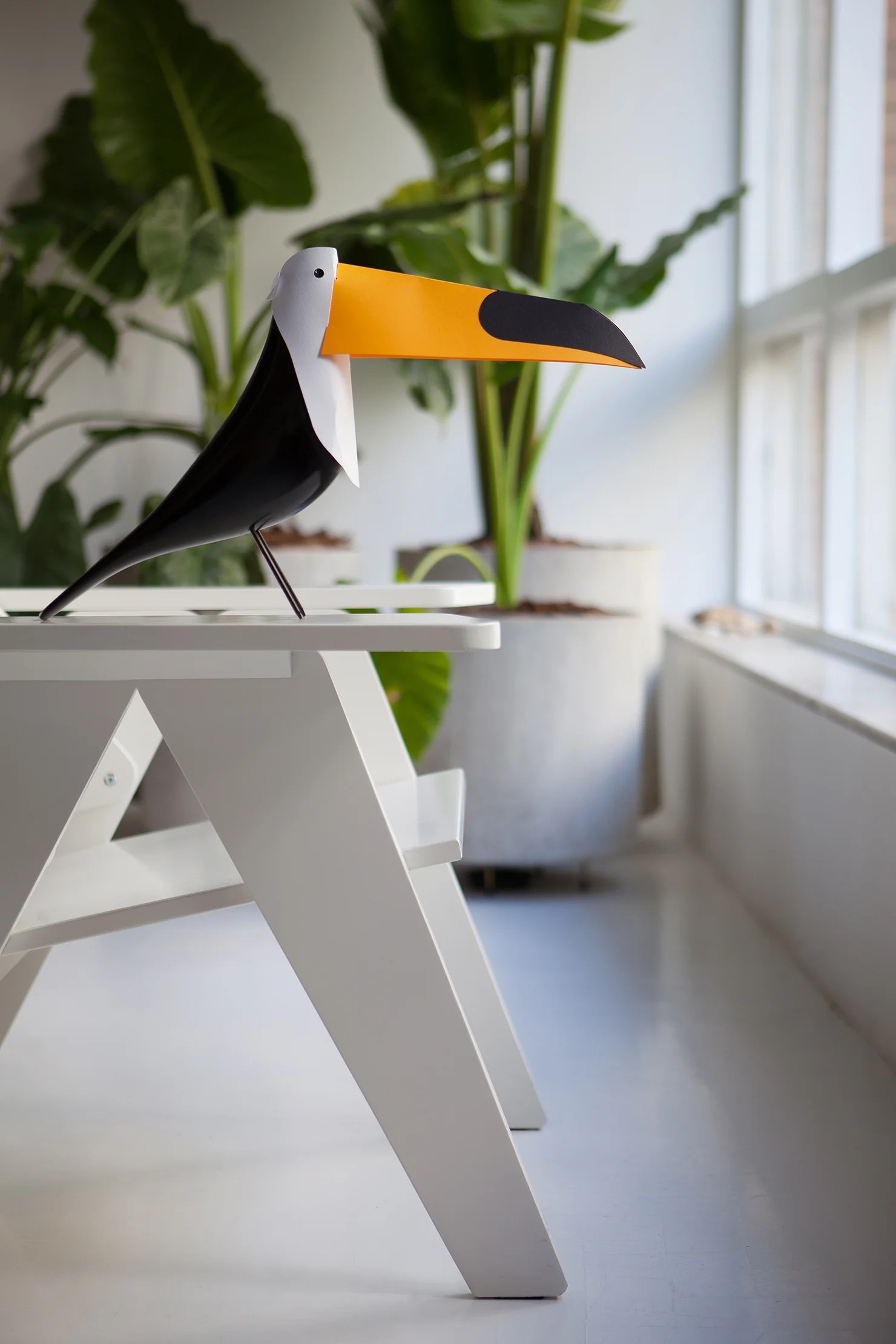 Tucano - Mauricio Arruda-4.jpg