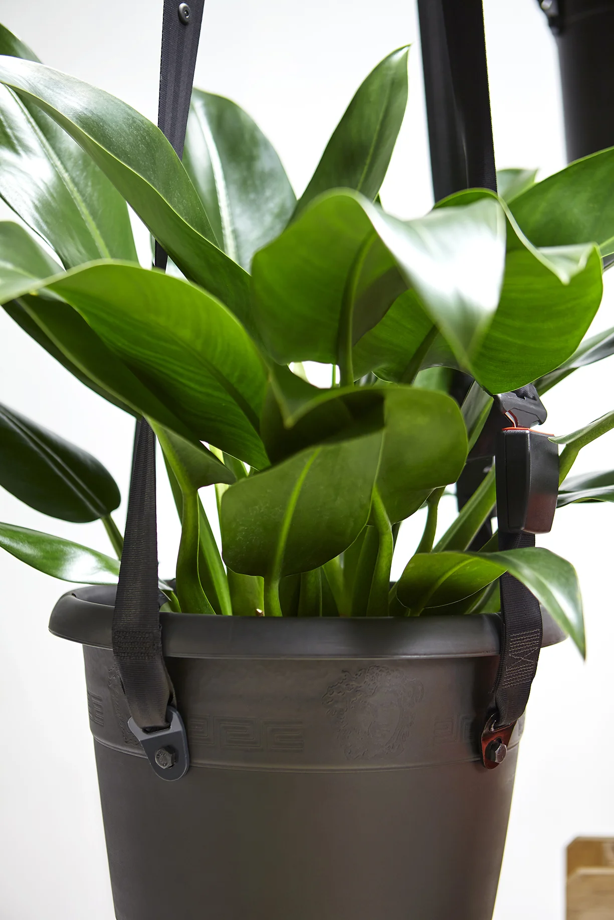 2016-10-04- Mauricio Arruda para Renault -215.jpg