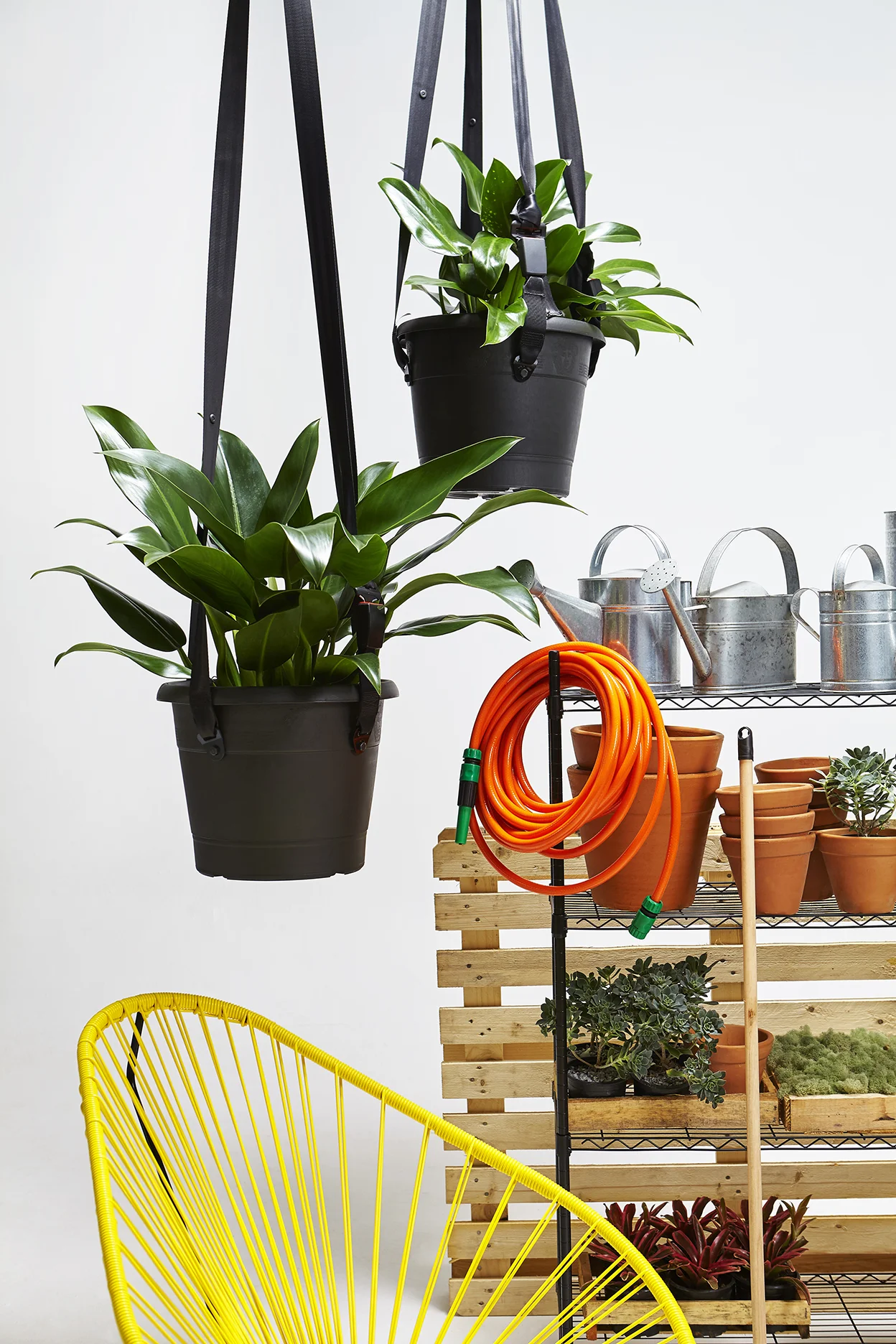 2016-10-04- Mauricio Arruda para Renault -208.jpg