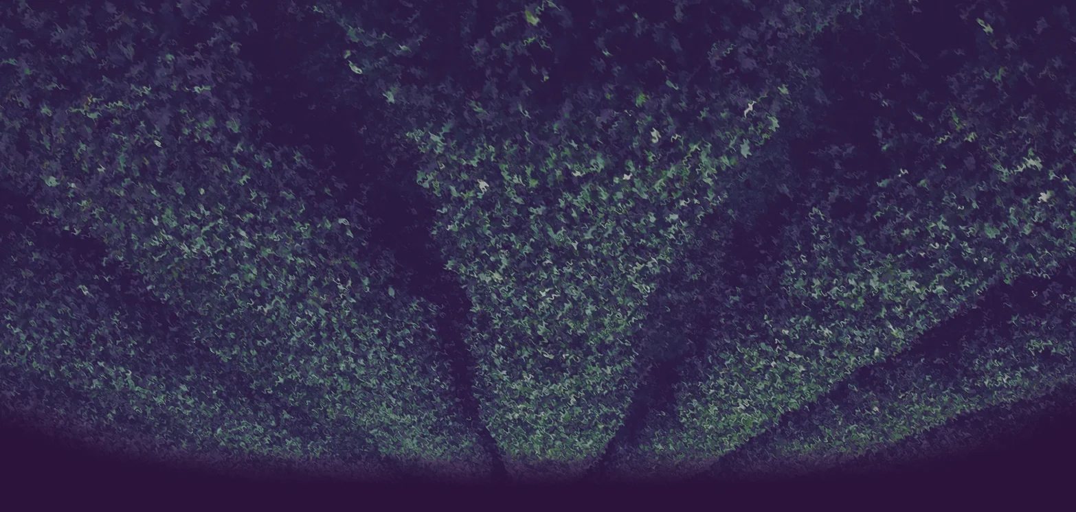 NightMarcher_DigitalCoverV2.jpg