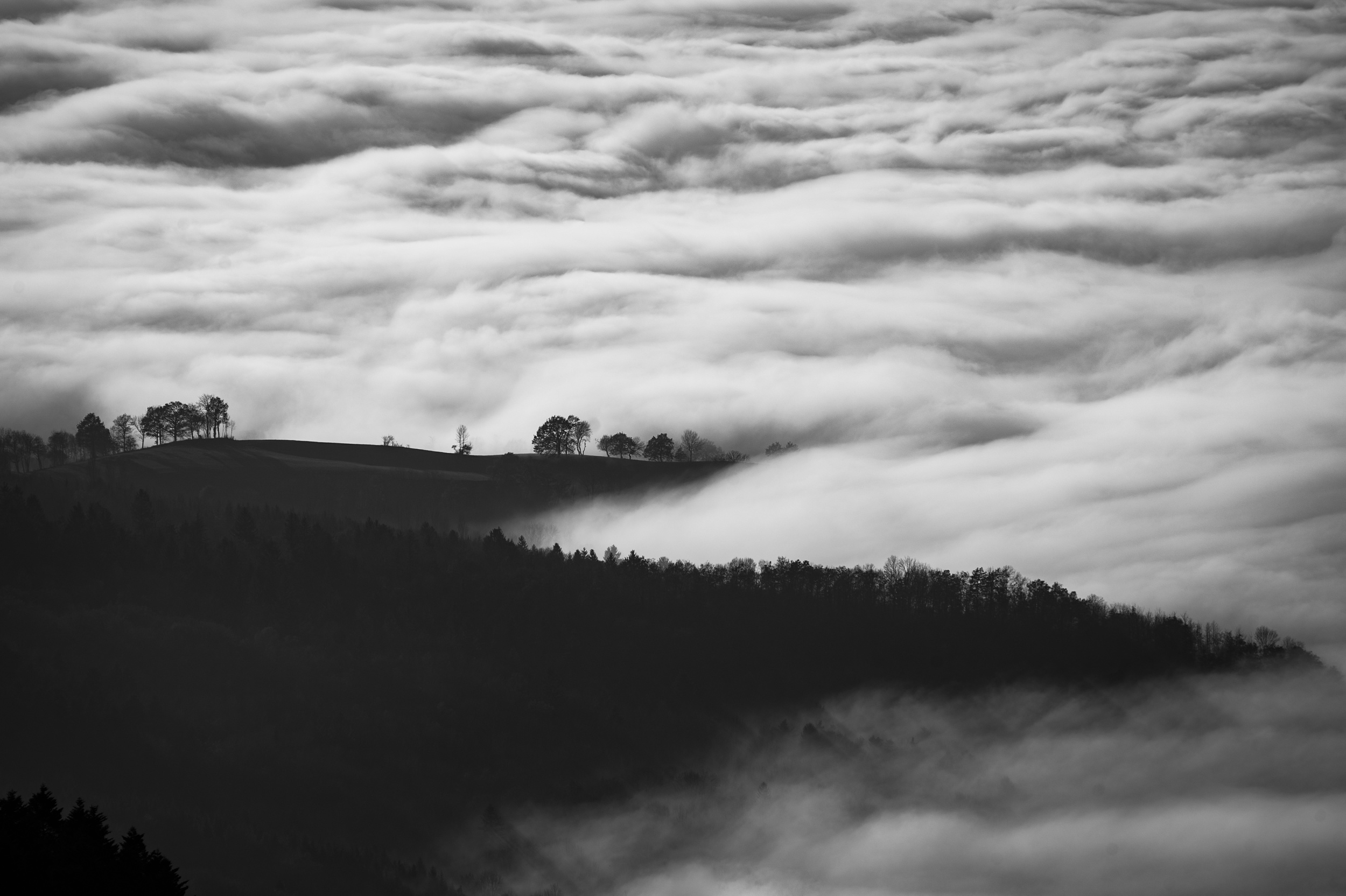 scenic-black-white.jpeg