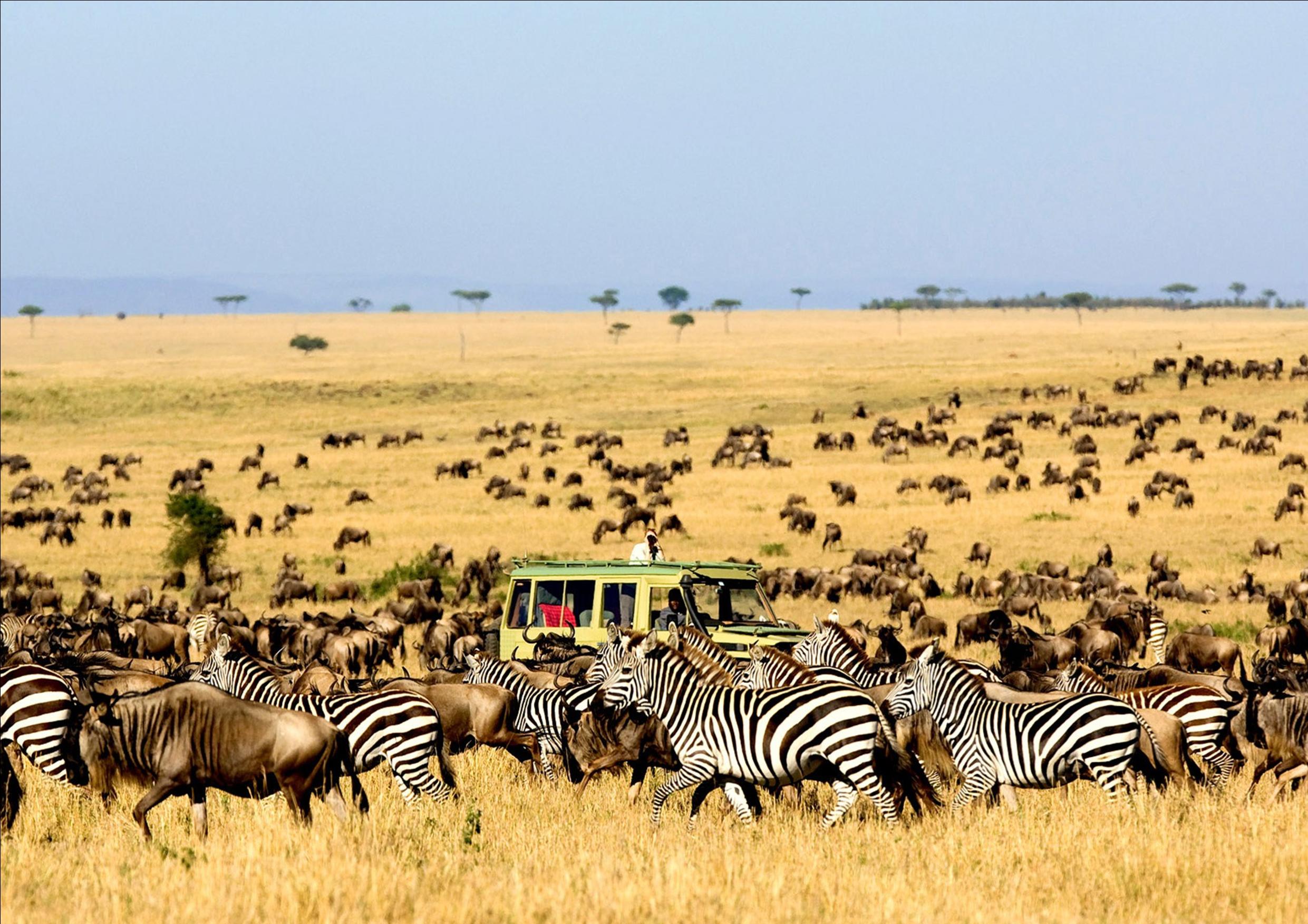 KENIA01.jpg