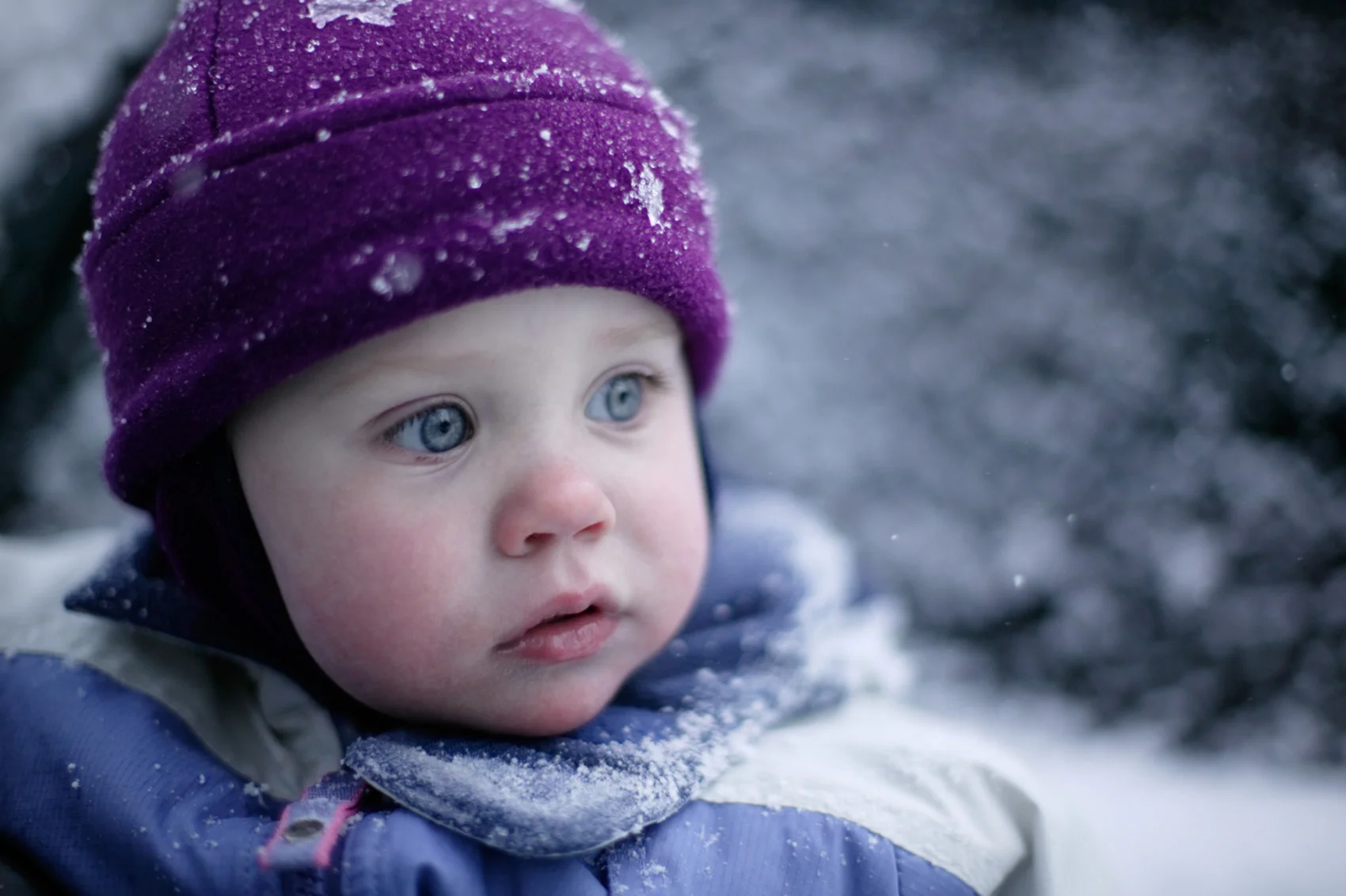 toddler girl portrait in winter snow clothing during snowfall