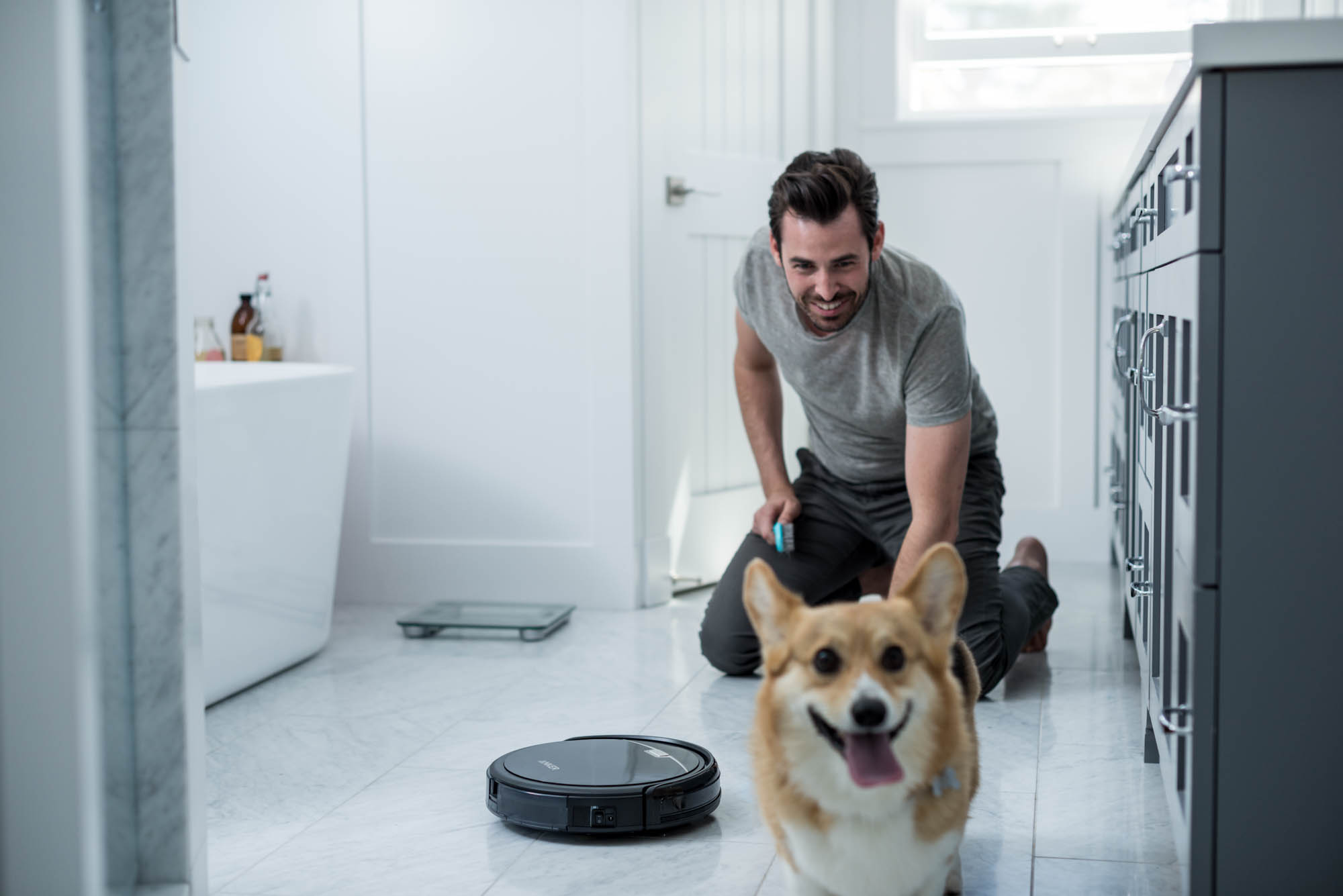 Man grooming a Corgi dog