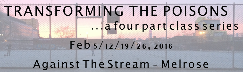 TTP Web Header 2.png