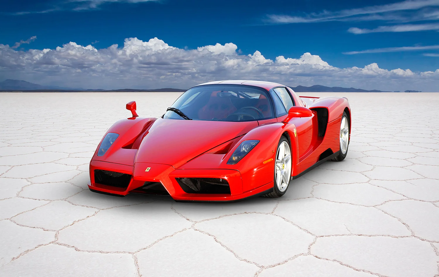 Enzo-on-flats-comp.jpg