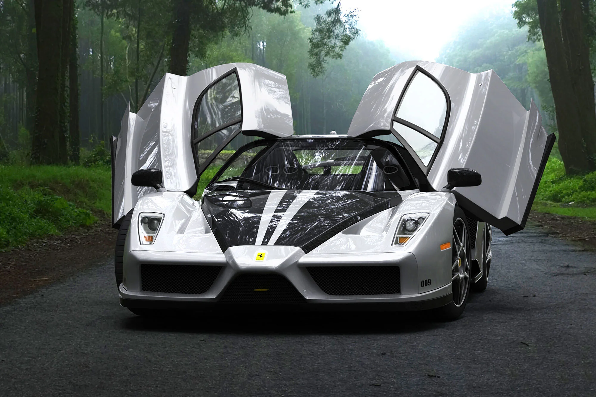 A - Enzo-(231)-comp copy.jpg