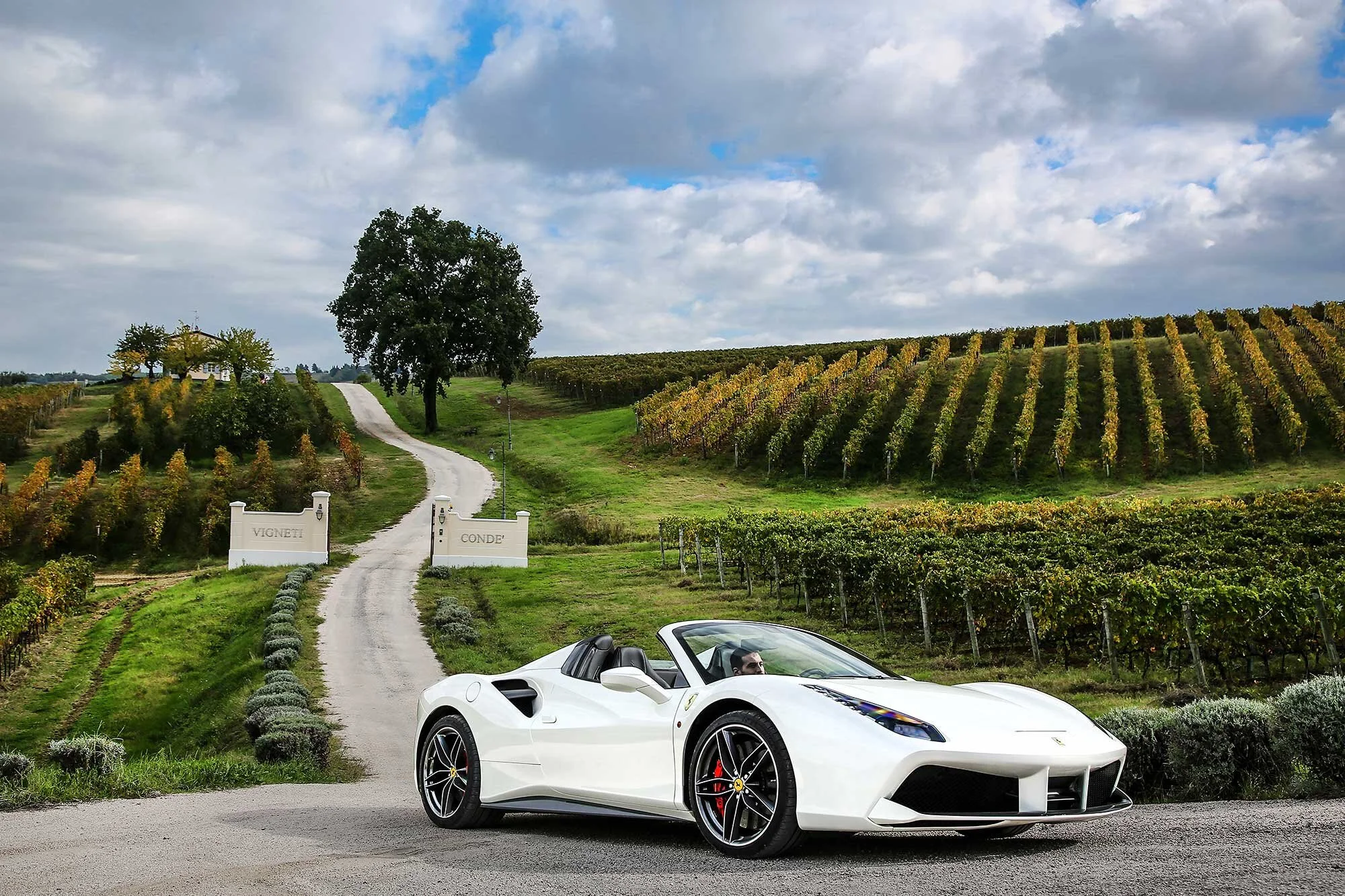 A - 488 Spider (272).jpg
