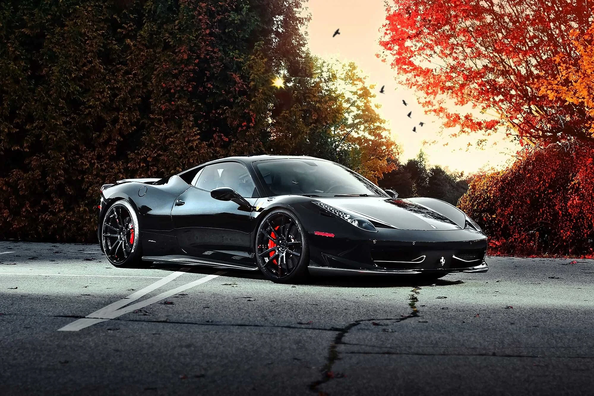 A - 458 Italia (274).jpg