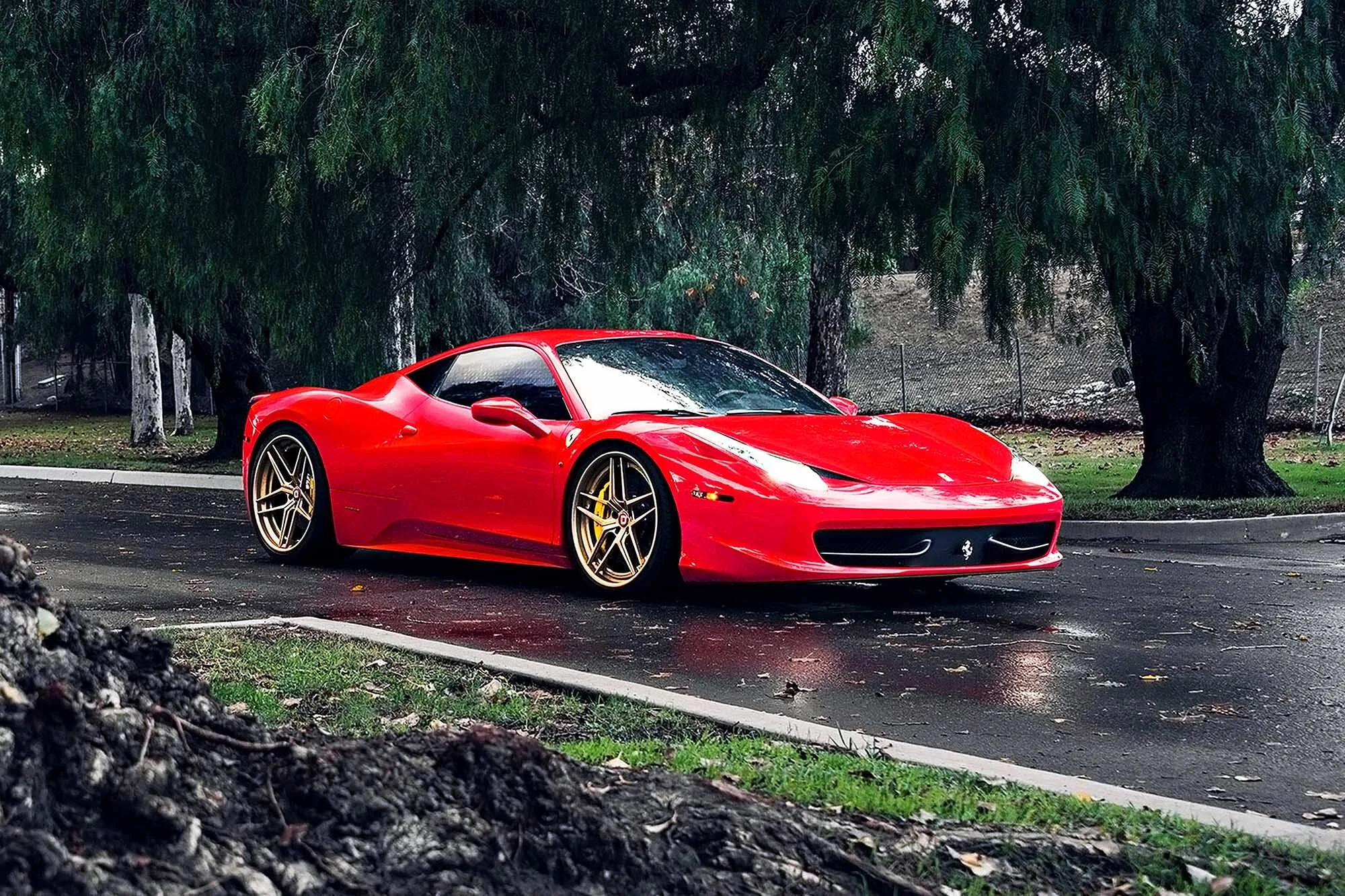 A #406 458 Italia web.jpg