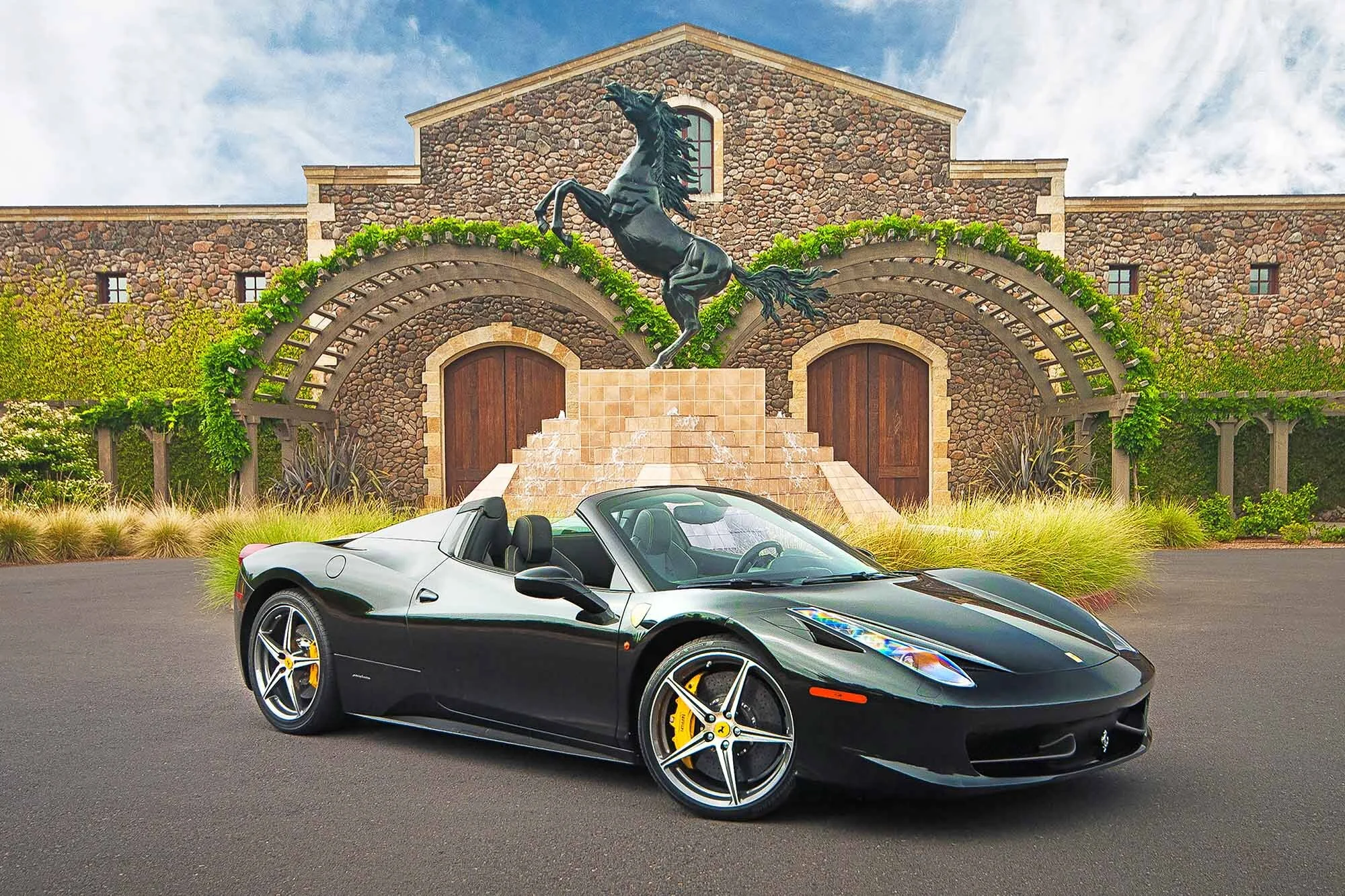 A #456 458 Spider web.jpg