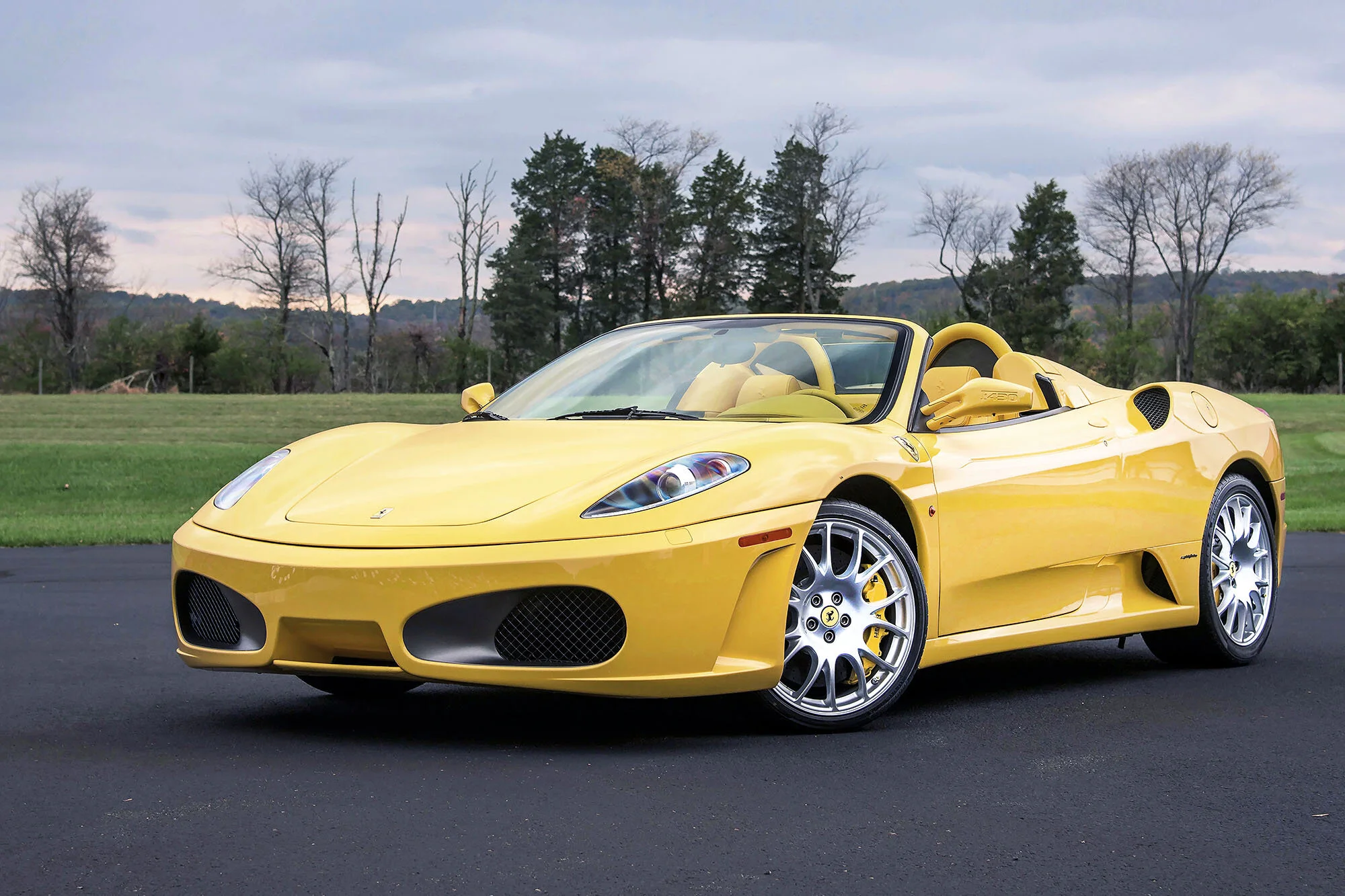 A #459 F430 Spider web.jpg